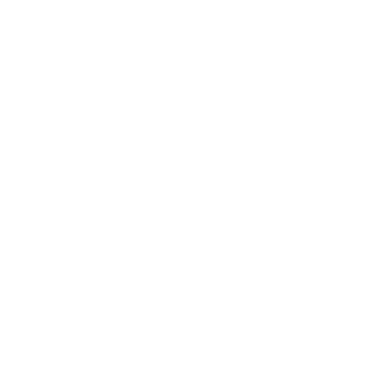 Insight Studio